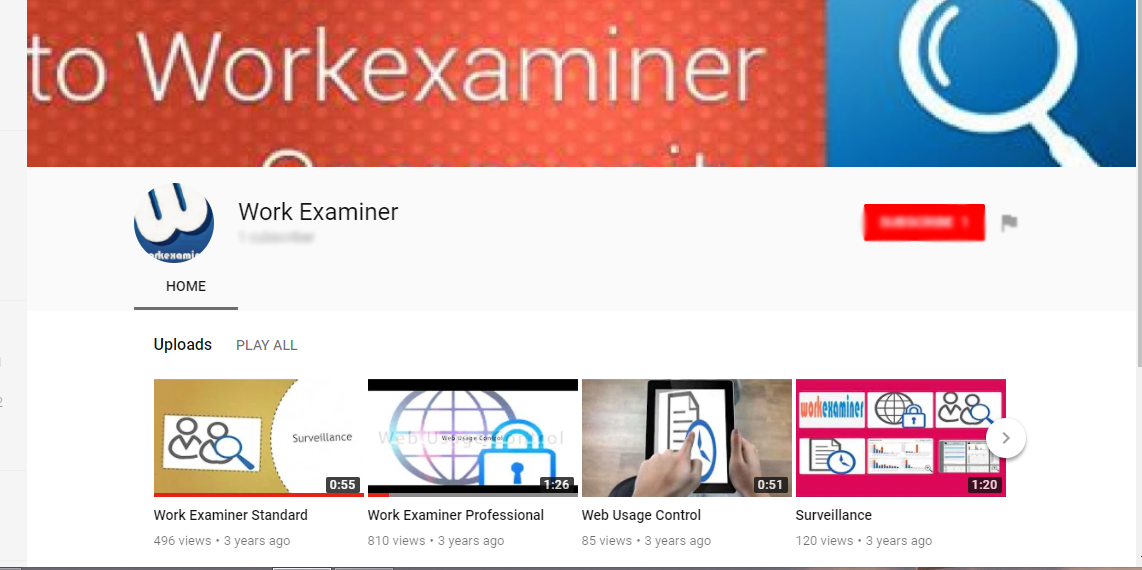 YouTube marketing Work Examiner