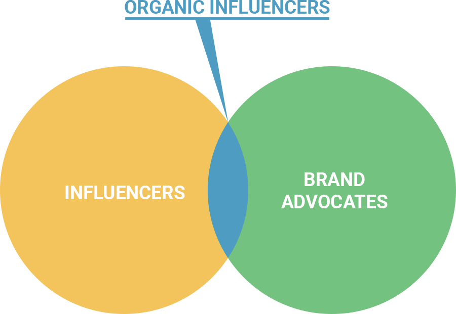 ORGANIC influencer-marketing-brand-advocates-schema.jpg