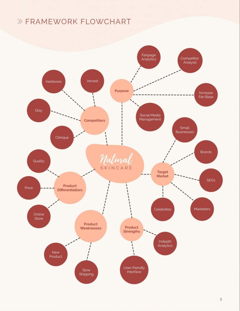 Define the purpose of your brand audit: Framework Flow chart example