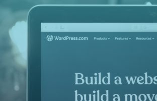 WordPress hosting: A step-by-step guide for beginners