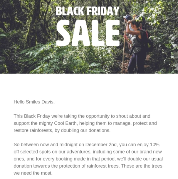 Email Black Friday Campaign