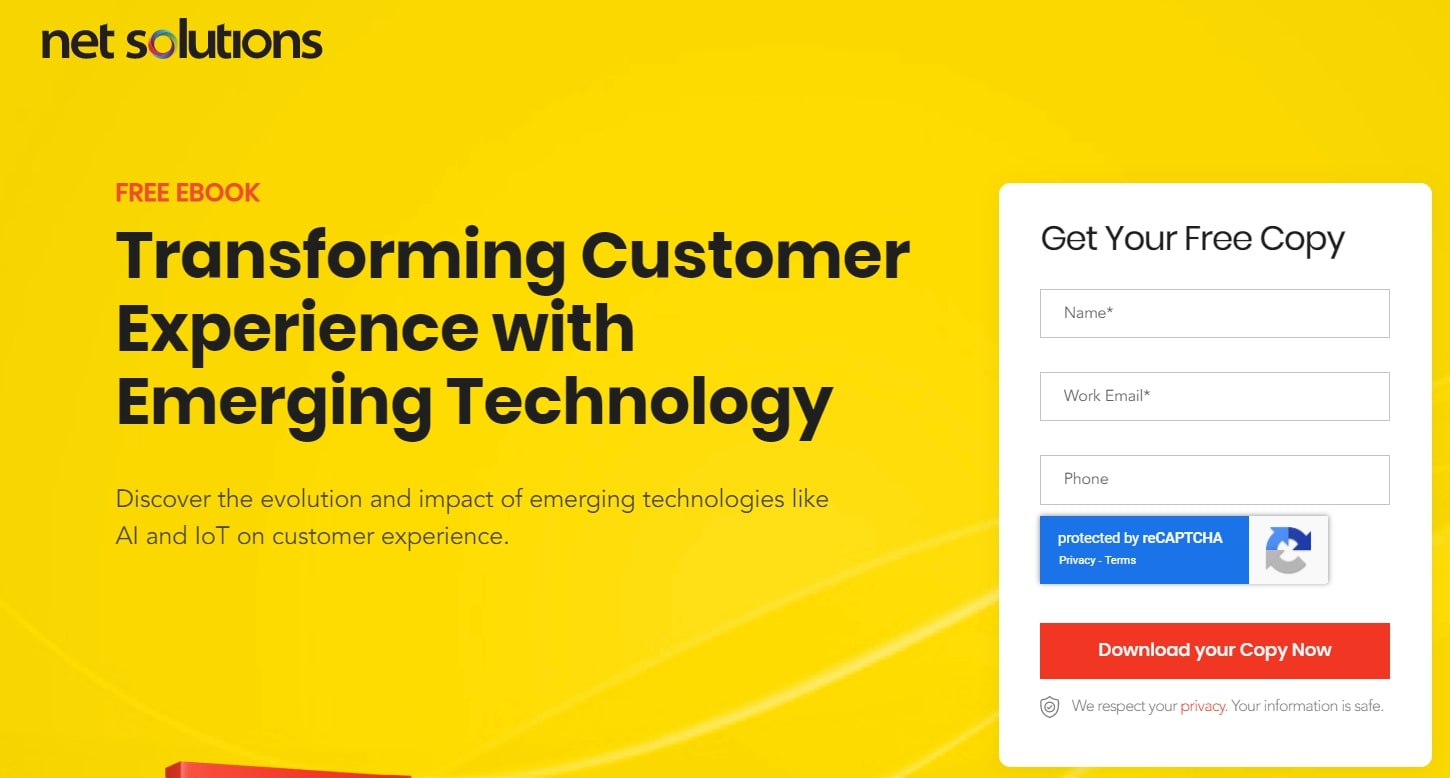 Net Solution Landing Page Form