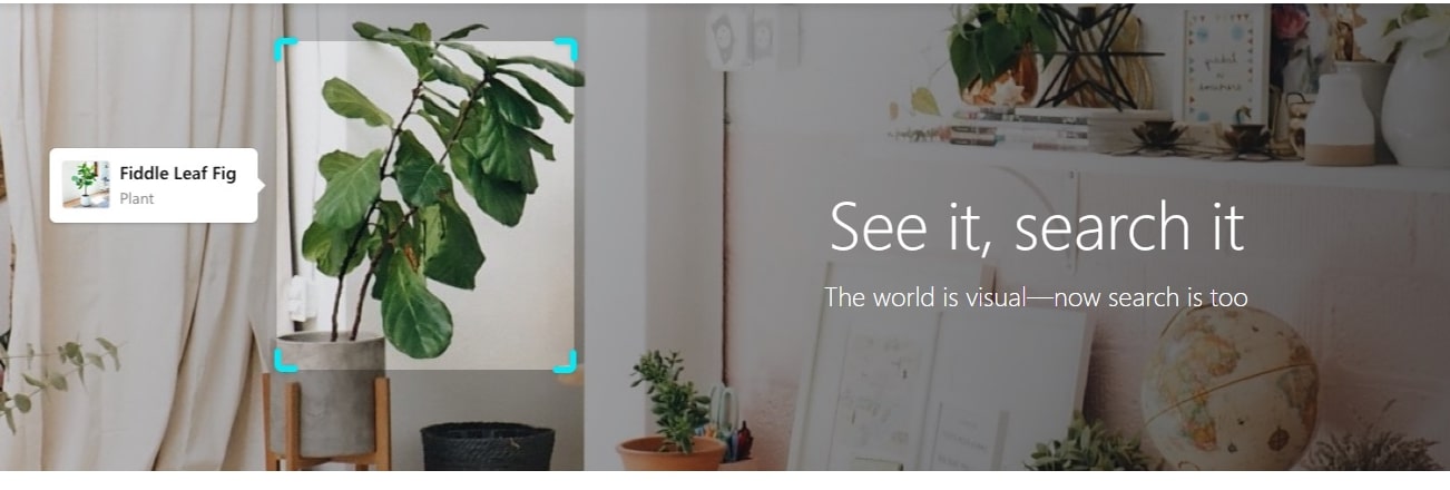 Bing visual search